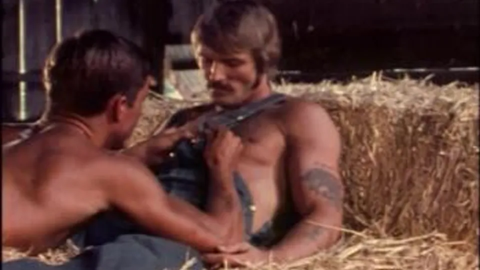 Hayride