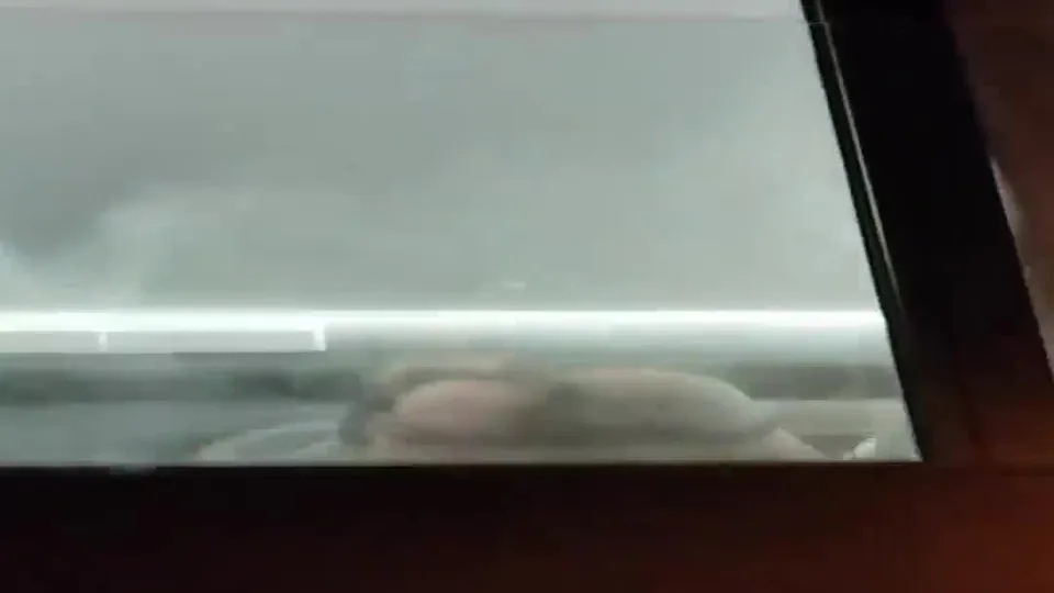 HEDONIST Bearded Handsome Beautiful Macho Stud, Horny Masculine Guys Sexy Butt Fuck (6).mp4