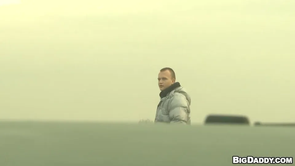 Дорожная Встреча