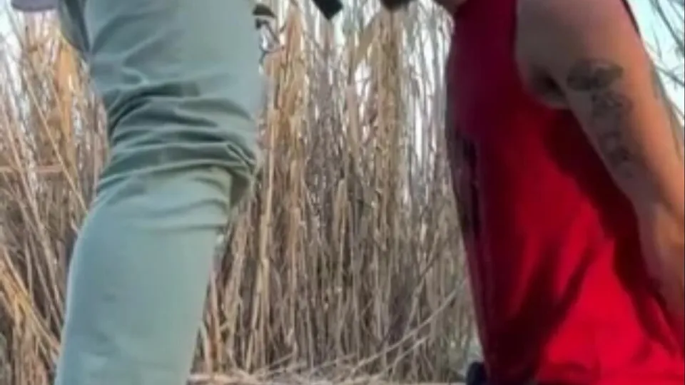 Horny Blowjob with Piss Drinking outdoor in the reeds - ThisVid.com