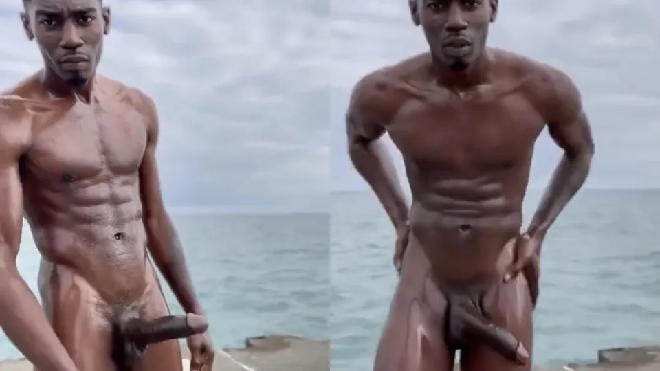 *HORNY* bull shows off - ThisVid.com