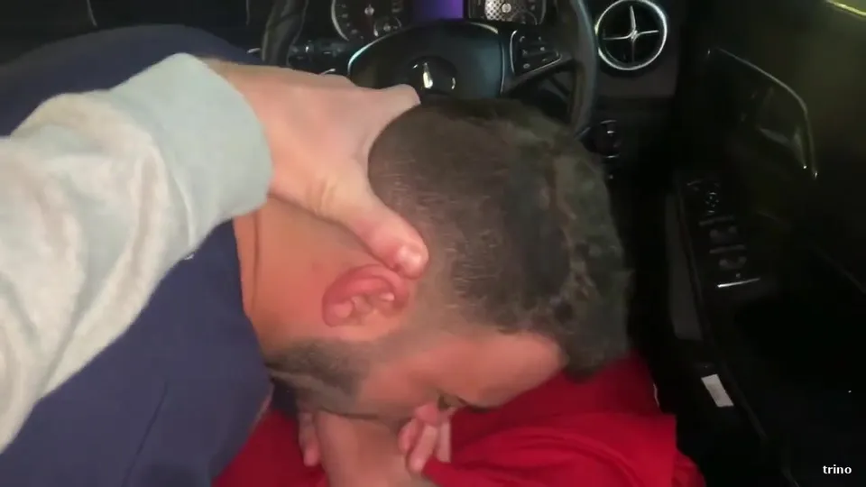 Horse cock - video 6 - ThisVid.com