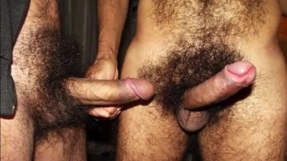 Hot 100: Bushy Dicks Edition - ThisVid.com