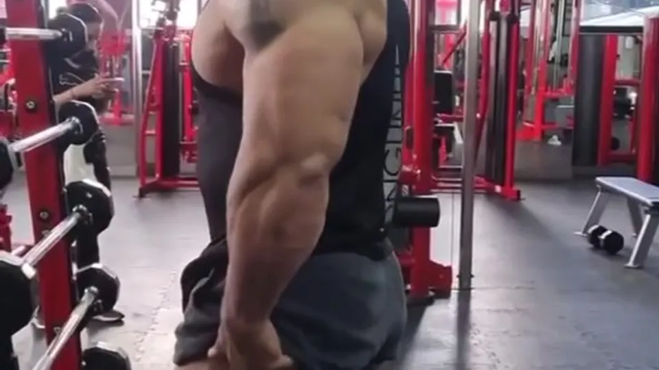 Hot muscle flexing - video 2 - ThisVid.com