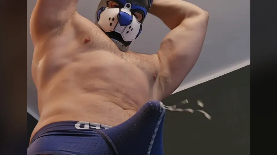 HOT & SEXY PUP CUMMING THROUGH HIS UNDIES PAWS-FREE ➊ - ThisVid.com