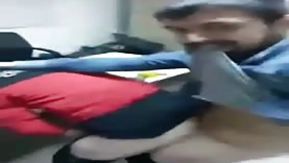 Arab Hunk Breeds White Bottom