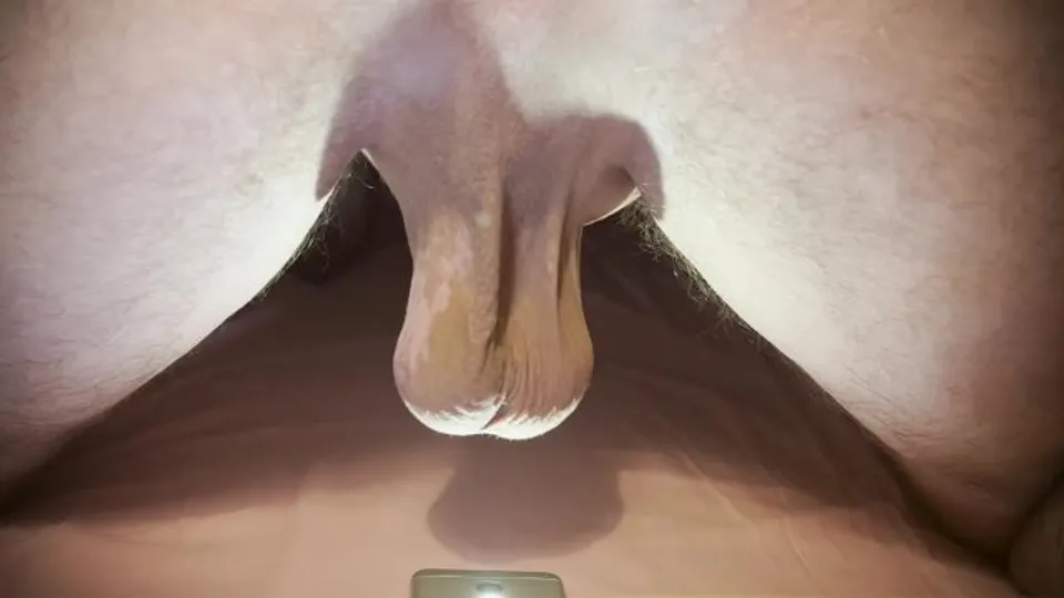 Huge male balls! They don't even fit in one hand! How much sperm do they have?