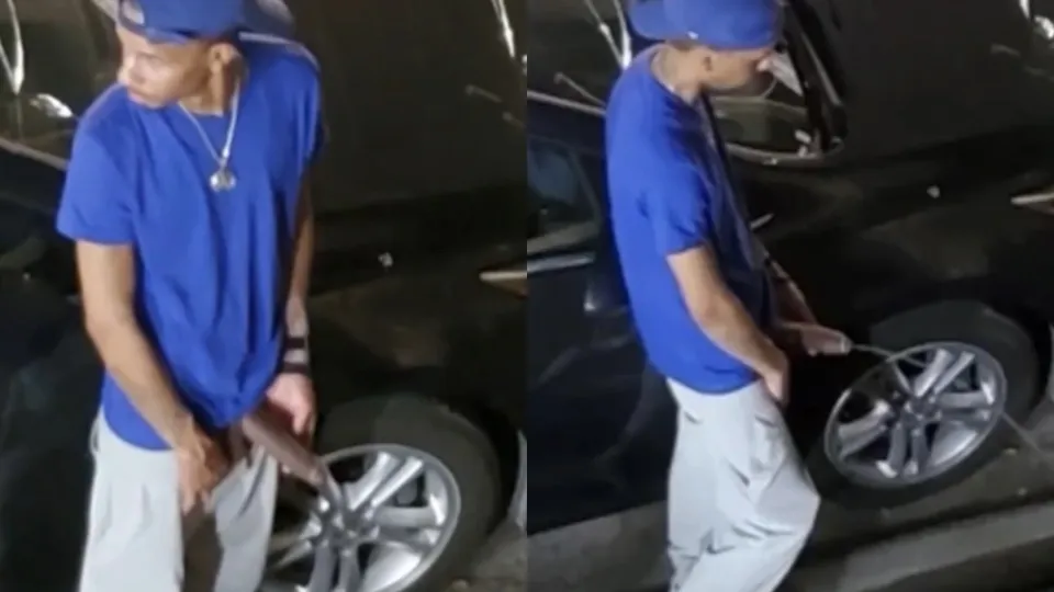 Hung bull fucks, cums, & pisses in *PUBLIC* - ThisVid.com