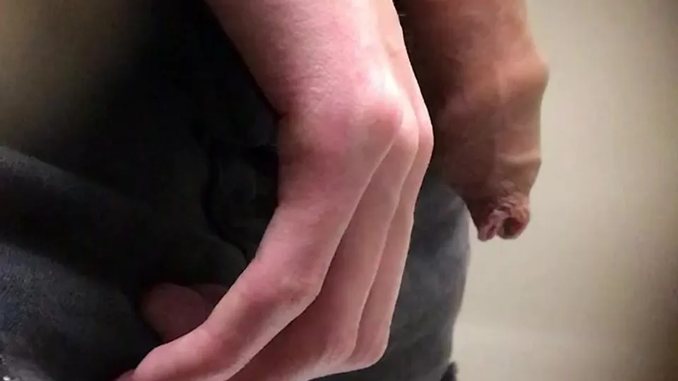 Hung cock piss spy - ThisVid.com