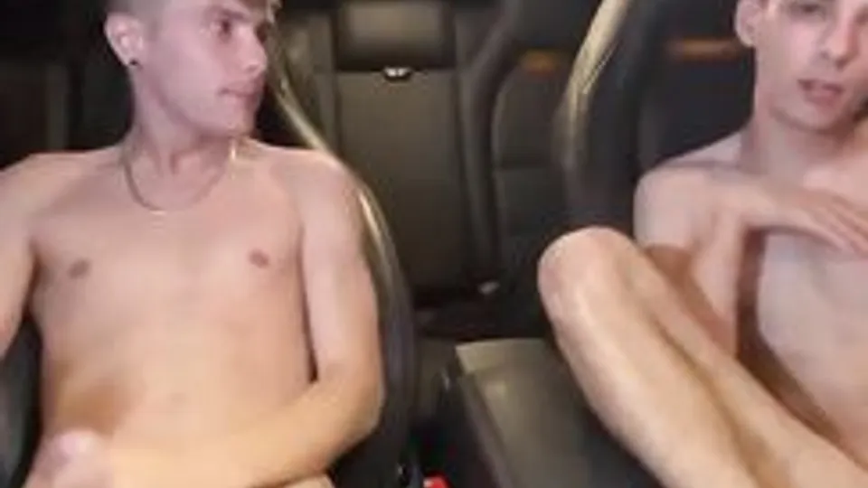 hung friends fuck in car