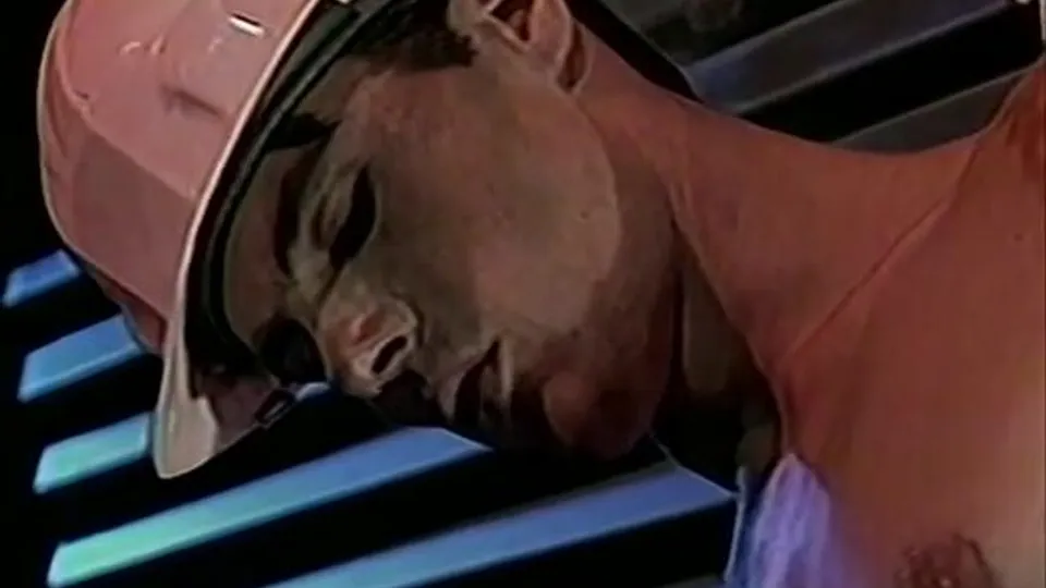 Hung Like A Horse: Classic Gay Porn
