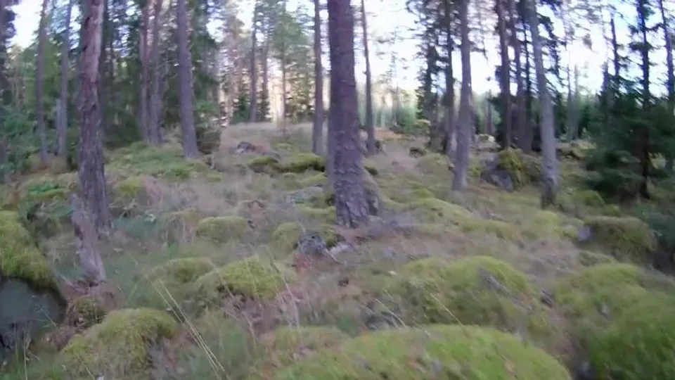 I cam myself for you outdoors porn