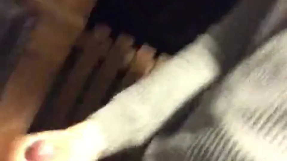 فيديو الحفلة المندس