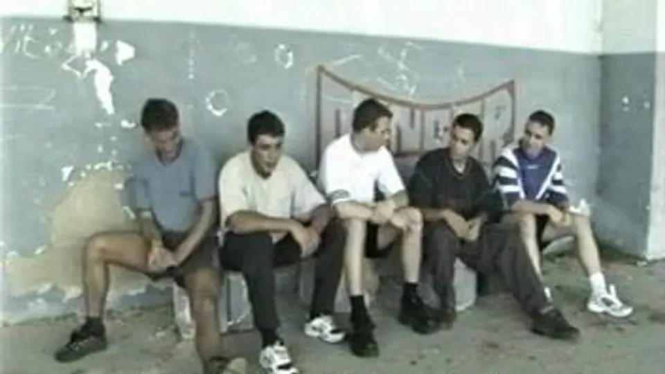 Ikarus Boy Search