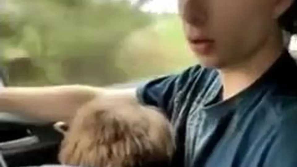 Il suce son copain qui conduit