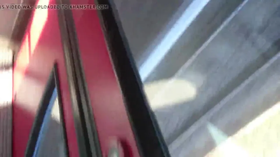 In der S-Bahn mit dem Schwanz gespielt _michamechanik.mp4