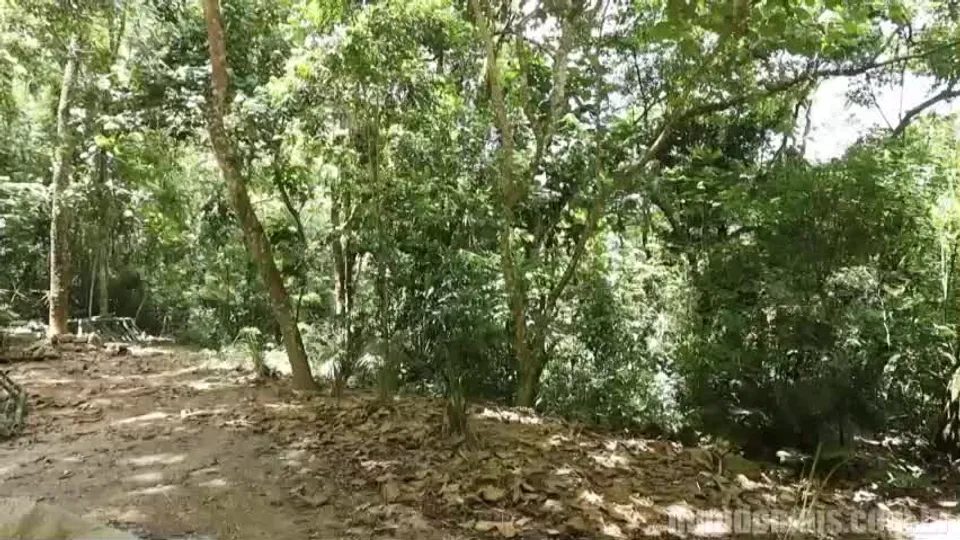 In the trail - David Cearense, Anthony Maceio, Ander Kildrian & Jack Mineiro.mp4