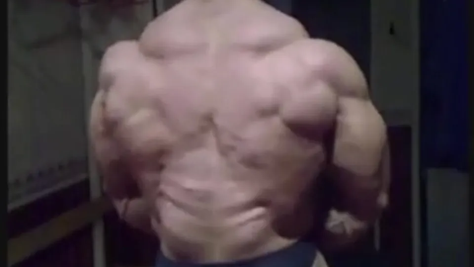 Incredible bosybuilder tortoise shell Muscled Back - ThisVid.com