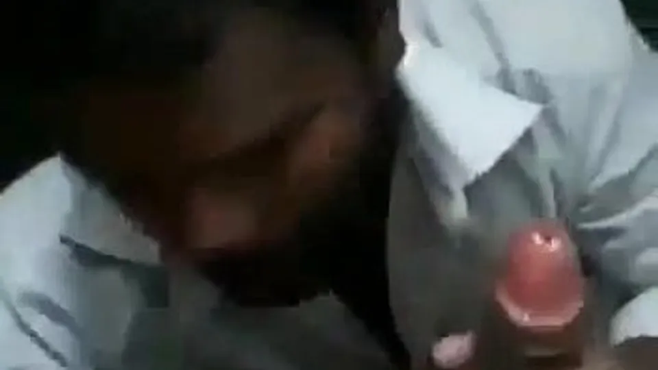 Indian fag sucks a brown cock in bathroom stall - ThisVid.com