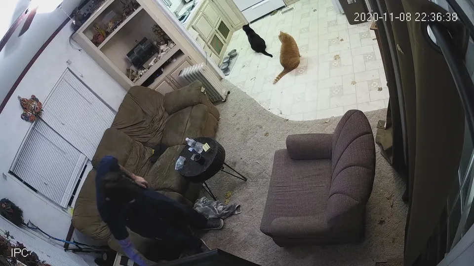 IP Cam Cum - ThisVid.com