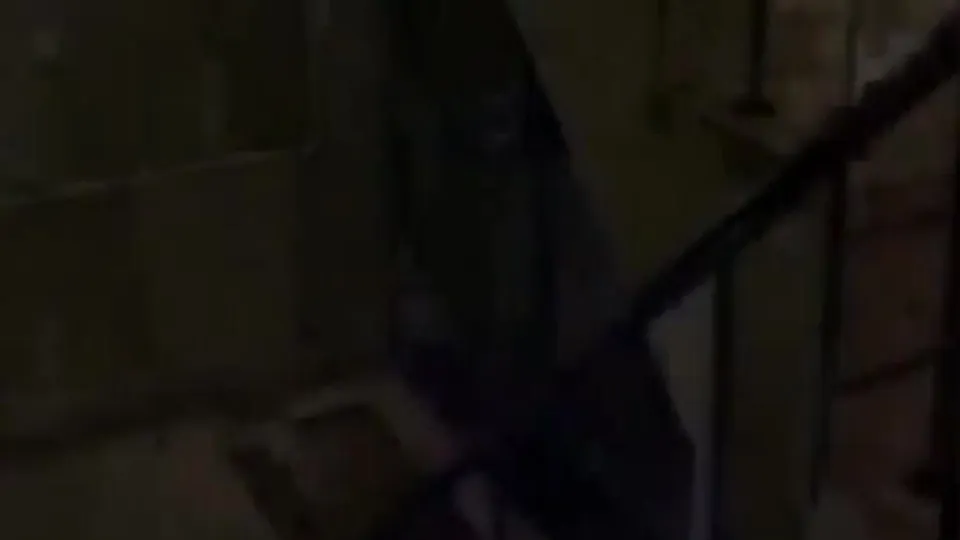 It started with an innocenr wrestling fight