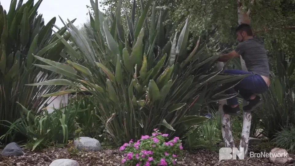 Jack Andy e Taylor Reign em Caught Raw 2