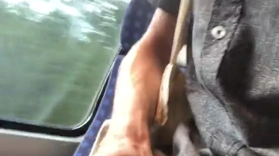 Jaden Big was in the train and I couldn’t help it.mp4