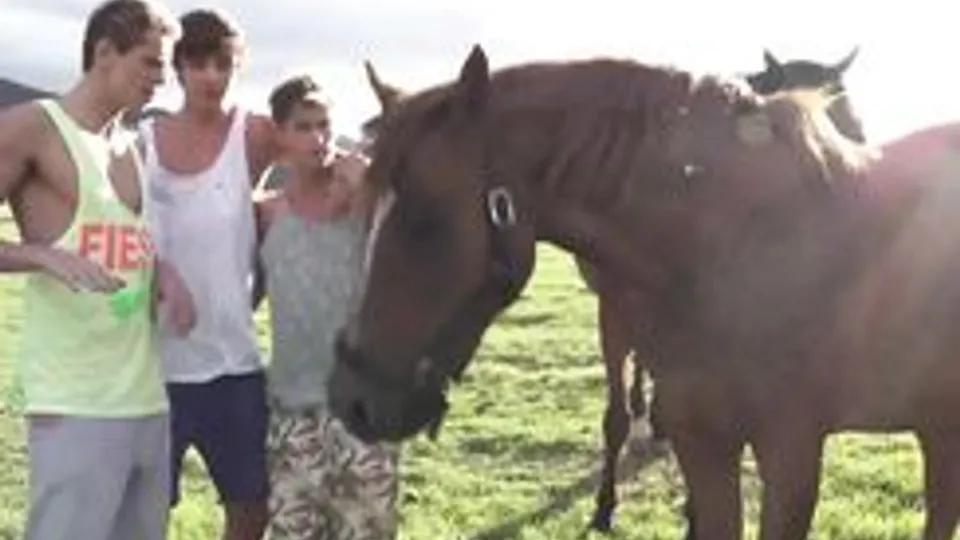 Twink Boys Masturbate in House