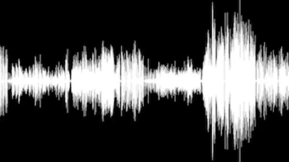 Jazz Archives: Duke Ellington's Brunswick Recordings : Free Borrow & Streaming : Internet Archive