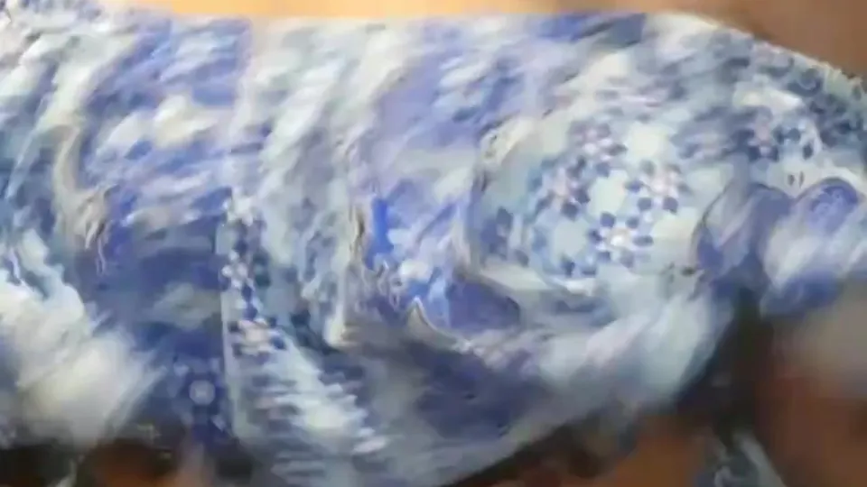 乙女のバウンドバスト