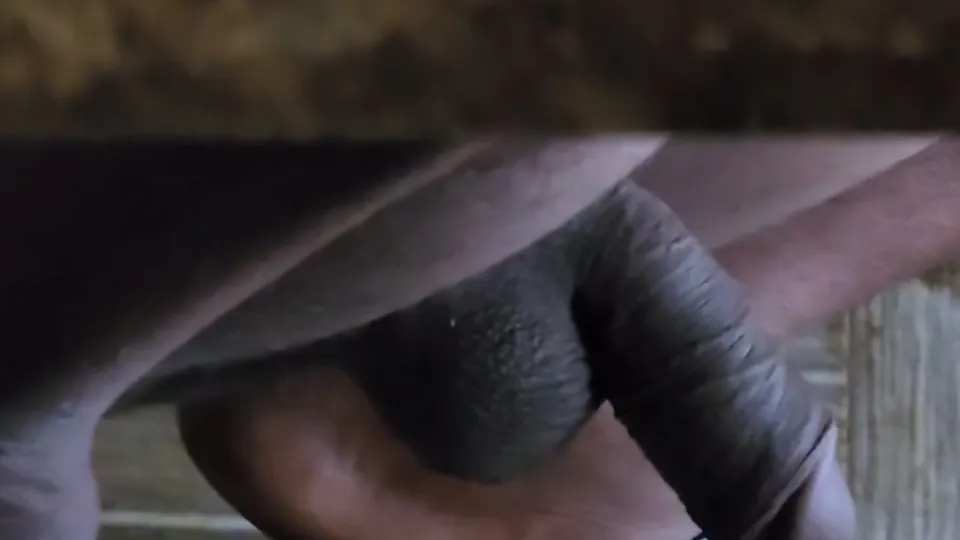 KERALA’S SCRUMPTIOUS COCKS 7 - ThisVid.com