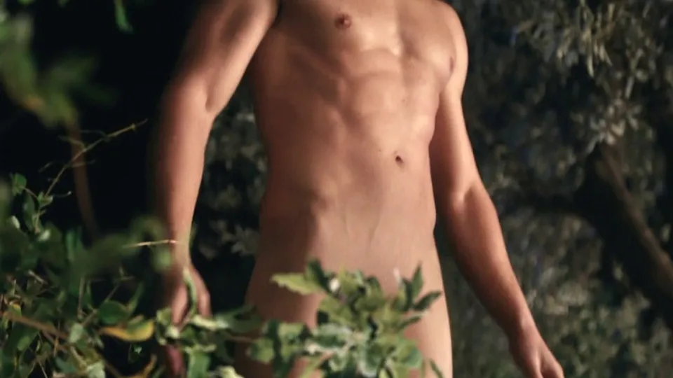 Kerem Bursin Shirtless Scene in Platonic