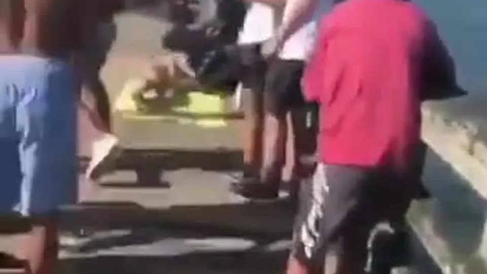 Gangbang sur le pont avec des lâches qui bottent