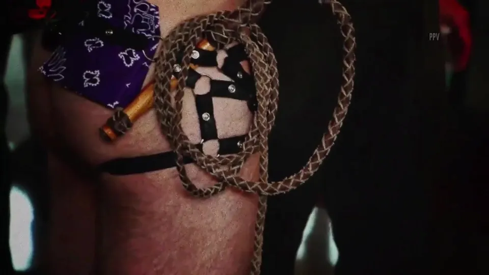Kinky Little Cocksucker