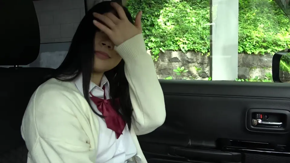 Schoolgirl teases in car