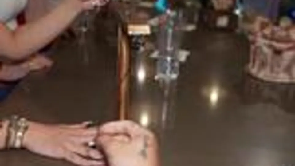 Koda Handles the Stick