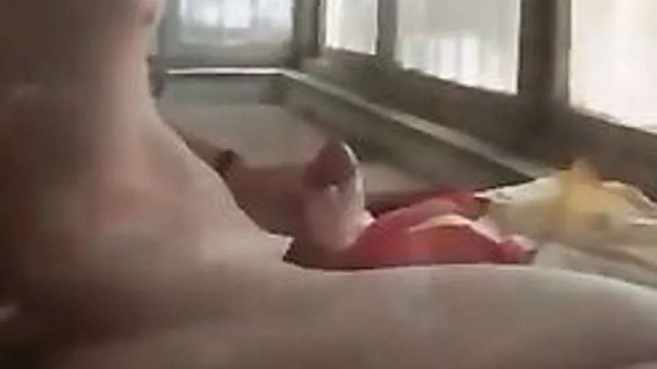 Twink Solo Masturbation