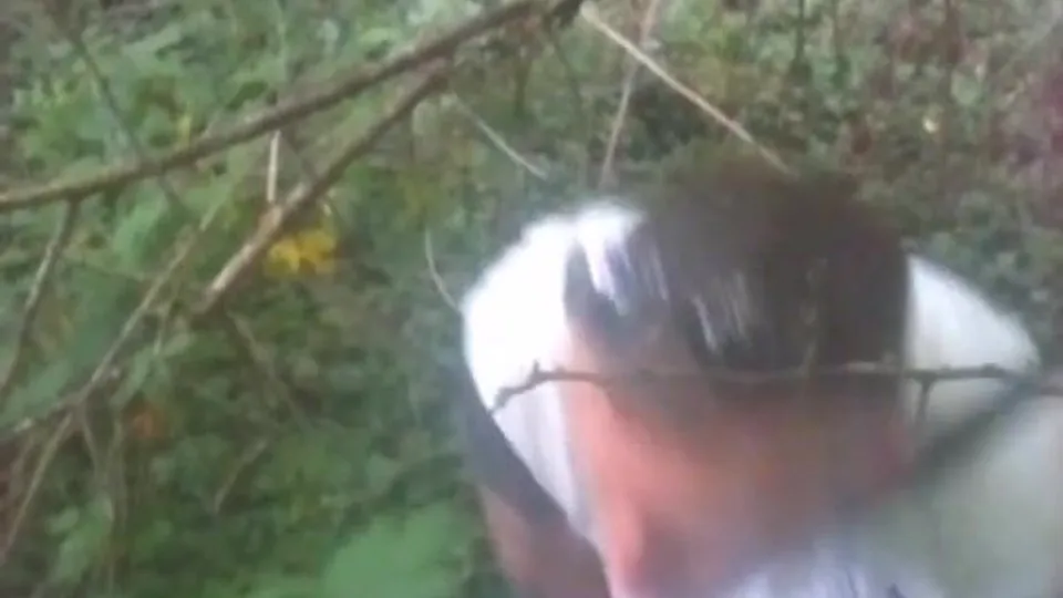 LAD MASTURBATES IT OFF IN PUBLIC HIGHLY RISKY PERCEIVED SO EXCELLENT