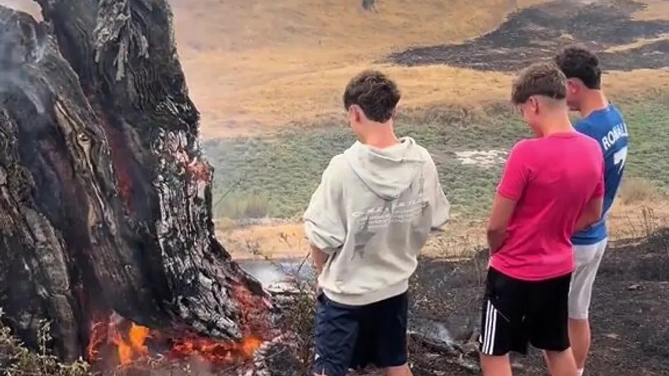 LADS PISSING ON FIRE - ThisVid.com
