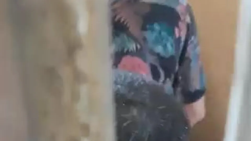 Lan hause - video 3 - ThisVid.com