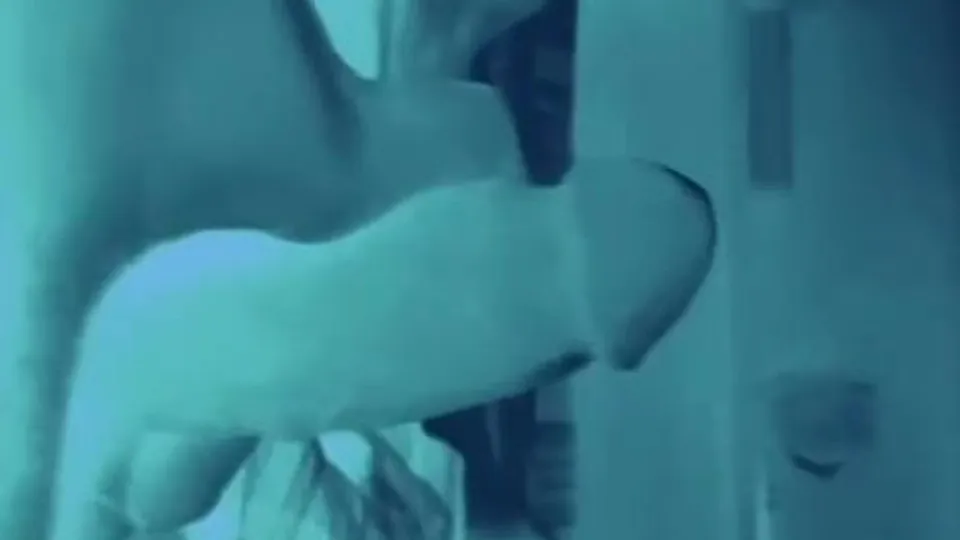 Latino Gay Meda free porn (146)