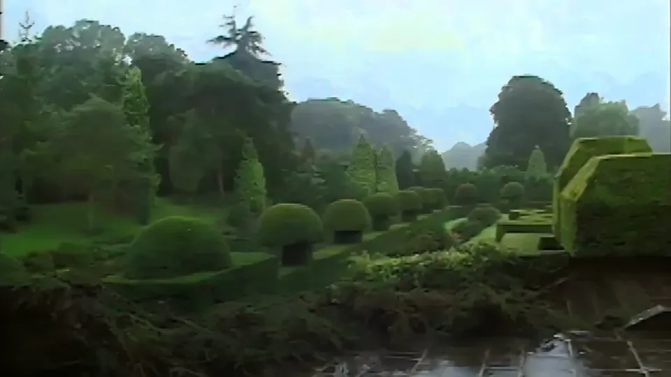 Leigh's Morning Delight