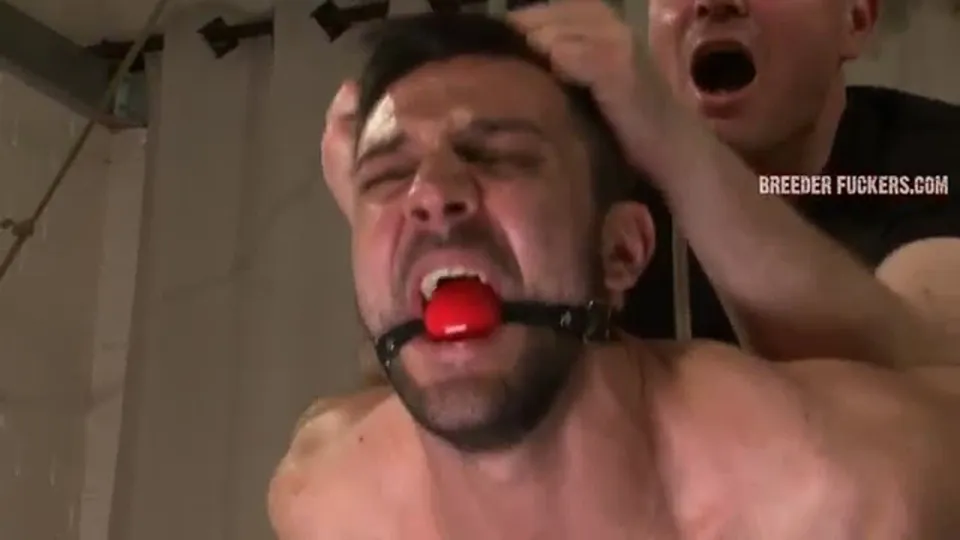 L'action rapide et gratuite de Leonardo