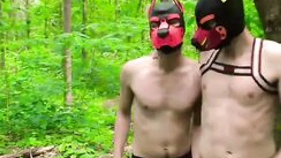 Let's Have Pup Boys Fun In The Woods