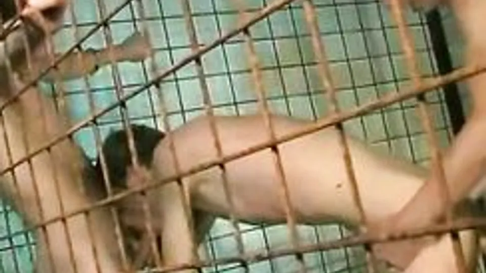 Let's Share A Boy In A Cage