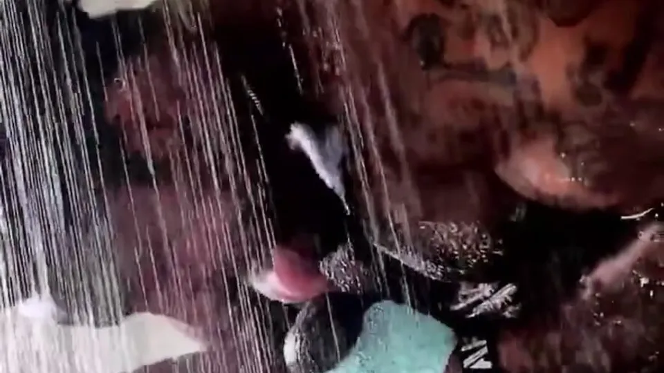 Licking his own dick and balls in the shower - ThisVid.com