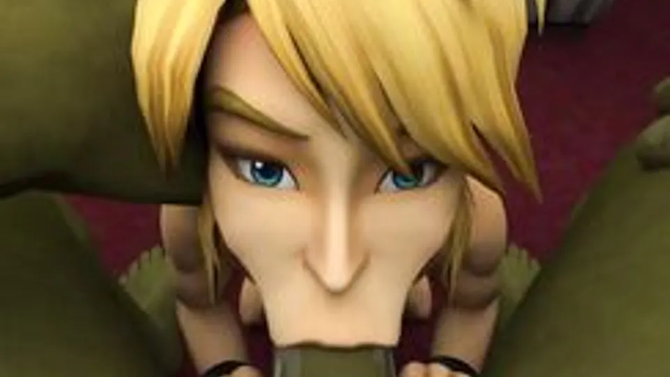 Link's Adventures