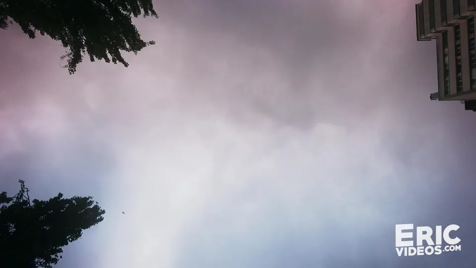 Jogger's Morning Encounter with Logan & Aymeric