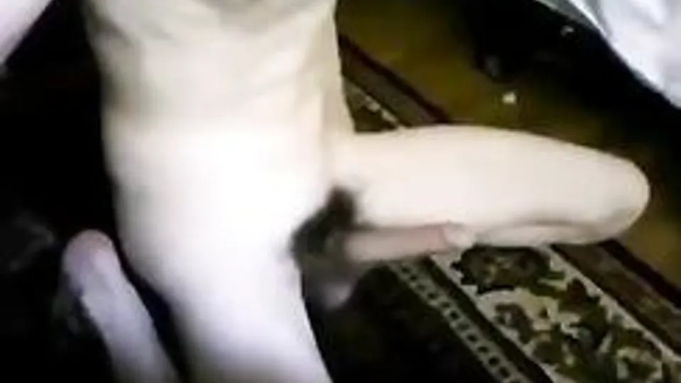 Long Haired Cam Boy Cum