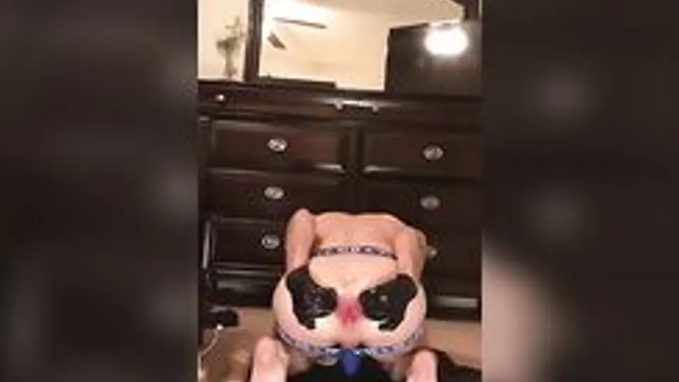 Loose twink returns to wreck himself some more